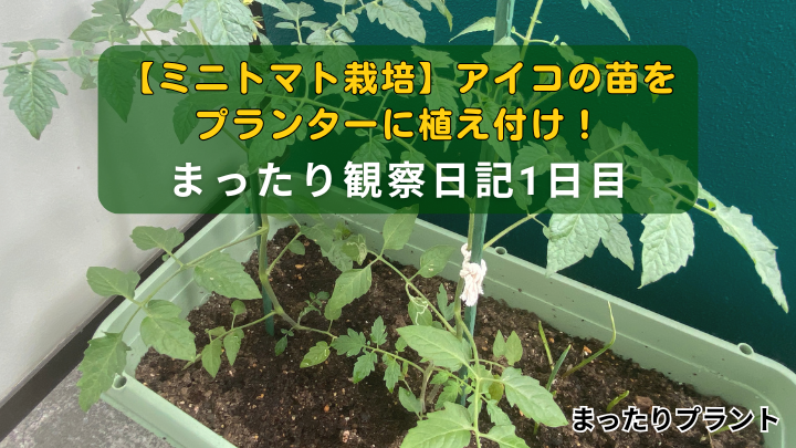 アイキャッチ