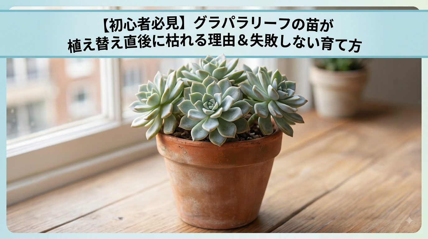 アイキャッチ