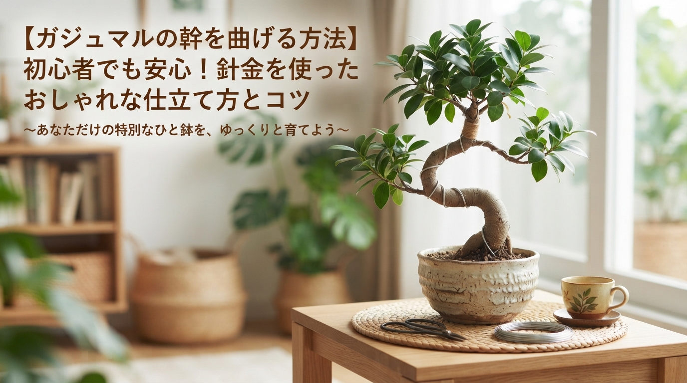 アイキャッチ